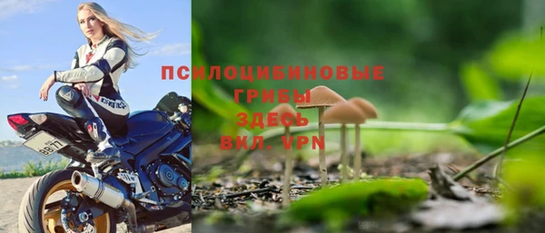 спайс Белокуриха