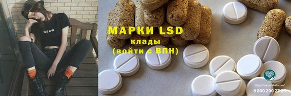 ГАЛЛЮЦИНОГЕННЫЕ ГРИБЫ Беломорск