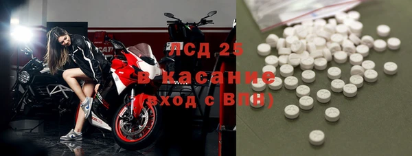 ГАЛЛЮЦИНОГЕННЫЕ ГРИБЫ Беломорск