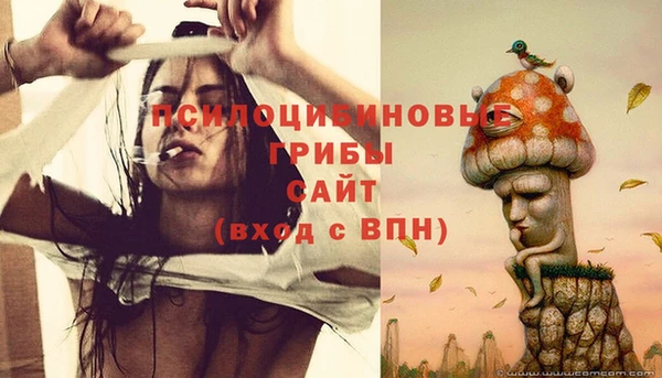 мяу мяу мука Белоозёрский