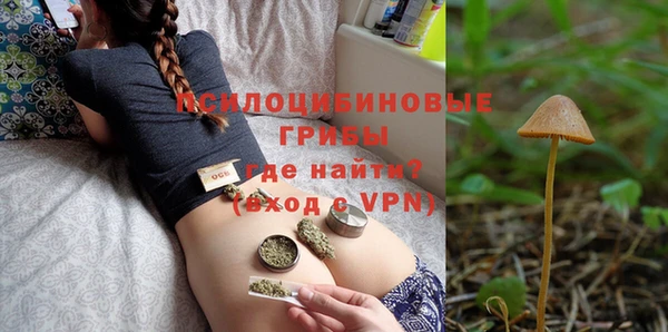 ГАЛЛЮЦИНОГЕННЫЕ ГРИБЫ Беломорск