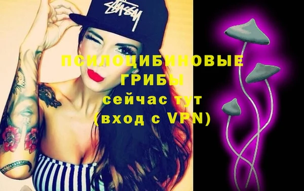 спайс Белокуриха