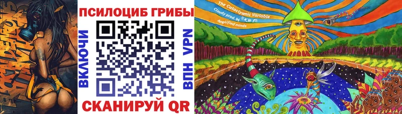 Псилоцибиновые грибы Cubensis  сколько стоит  Волгореченск 